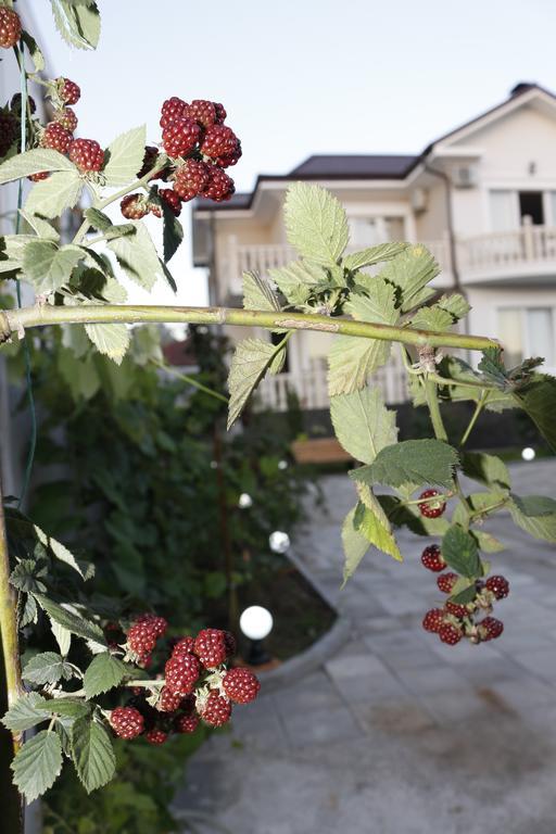 Guest House Sofia Kobuleti Ngoại thất bức ảnh