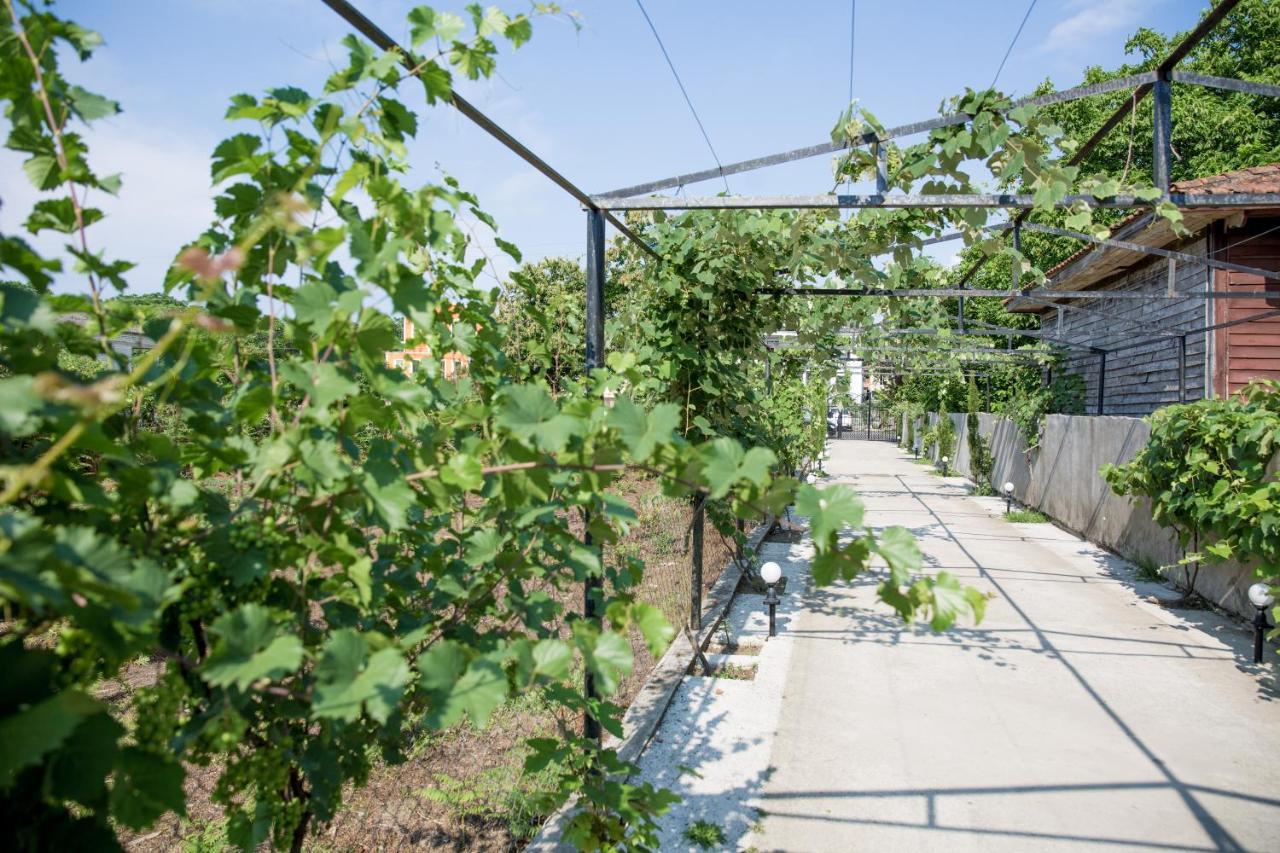 Guest House Sofia Kobuleti Ngoại thất bức ảnh